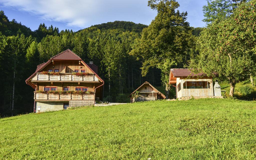 Apartments Petek Gornji Grad Zimmer foto
